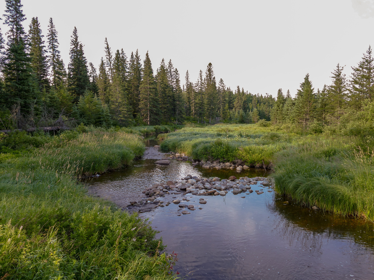 Whirlpool Creek, Riding Mountain NP