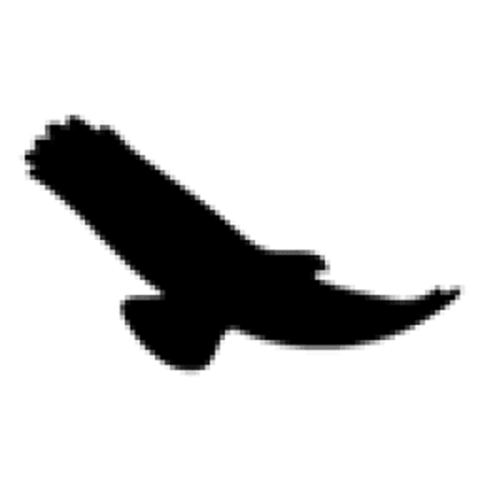 Eagle-Eye Tours logo