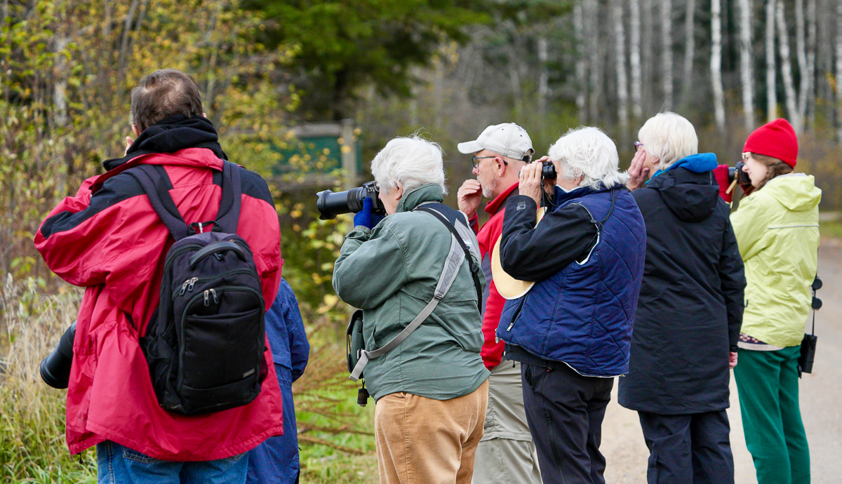 Birding in Prince Albert National Park