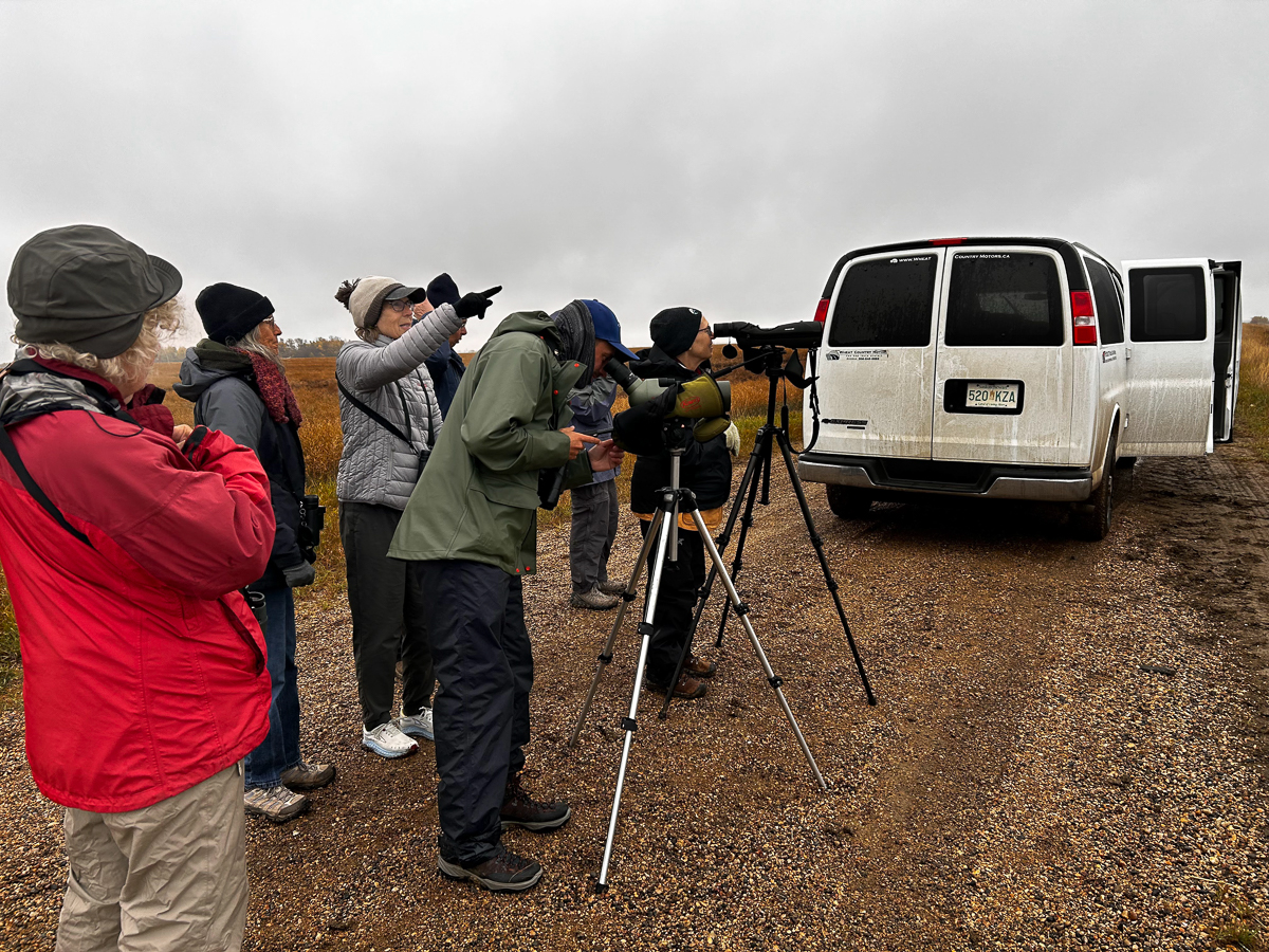 Birding group in Saskatchewan