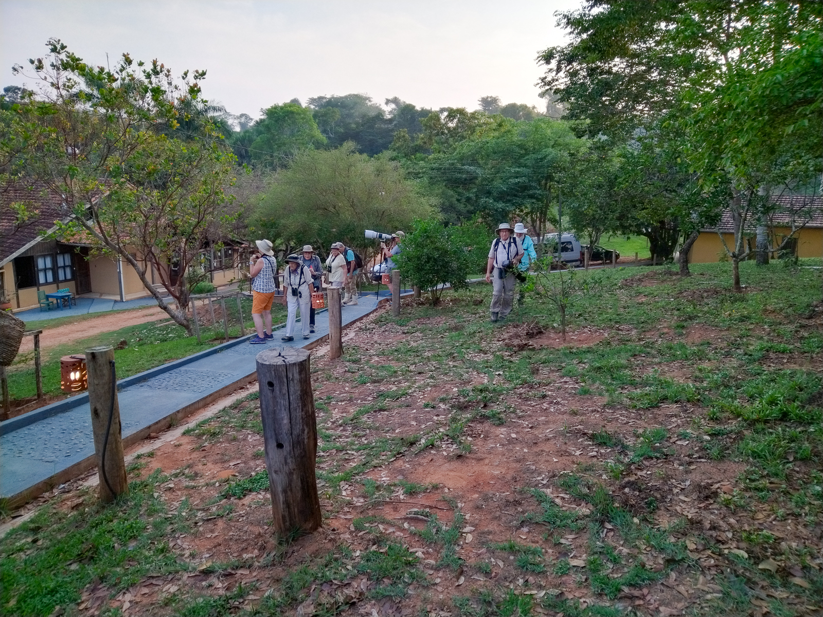 Birding at the Amazonia Lodge