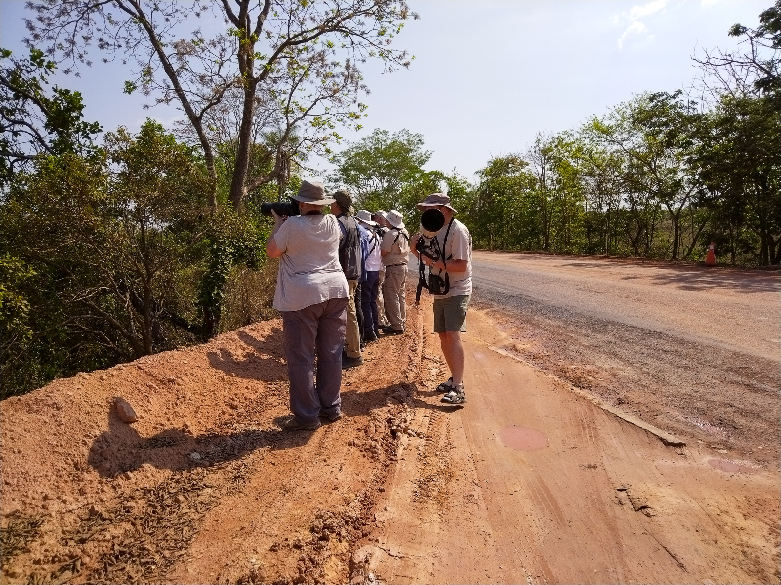 Roadside birding in Brazil