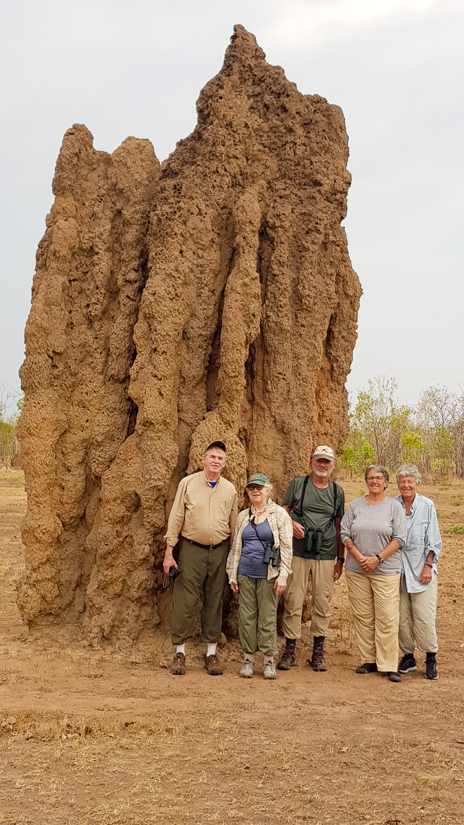 Tropical Australia birding group 2023