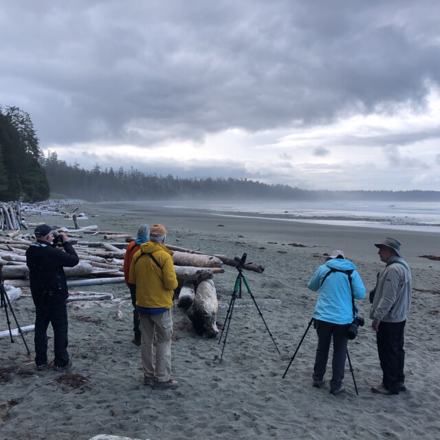 bird watching Long Beach