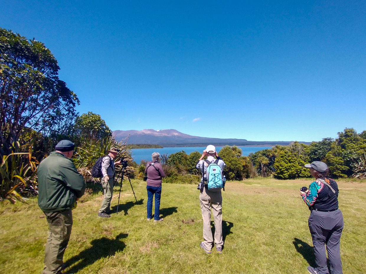 Birding at Lake Rotoaira