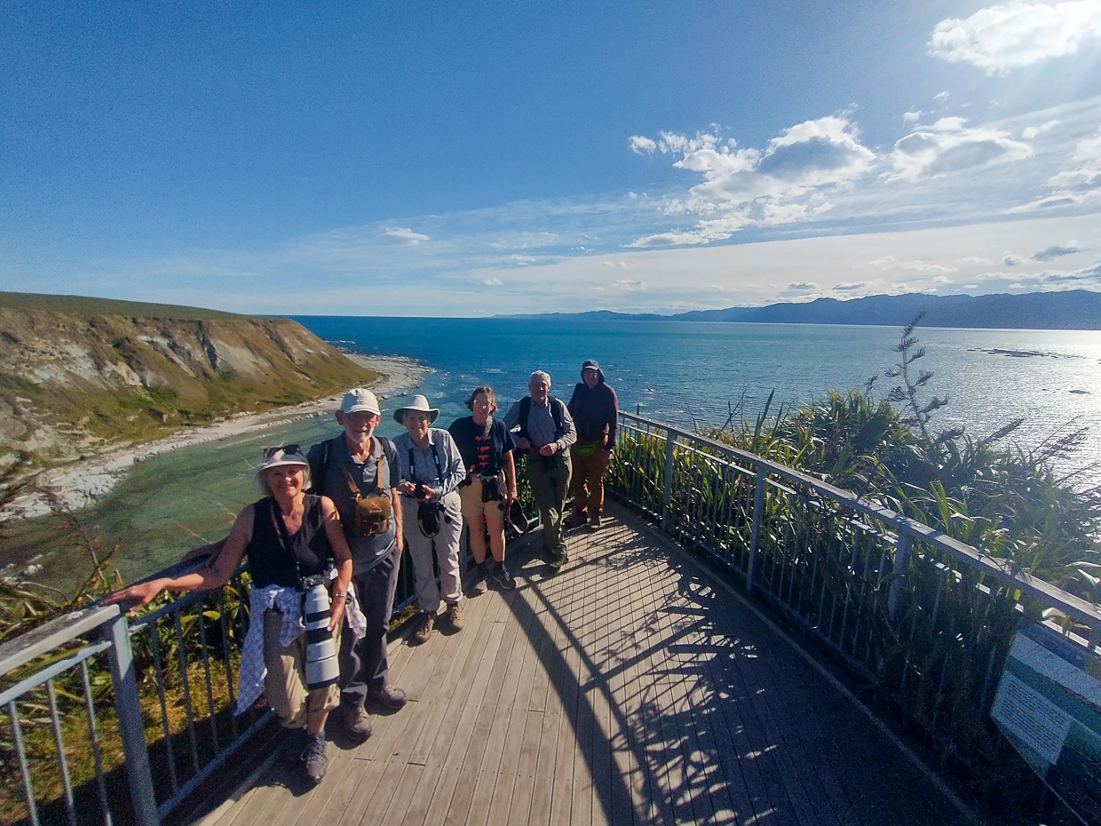 Birding group at Kaikoura Peninsula