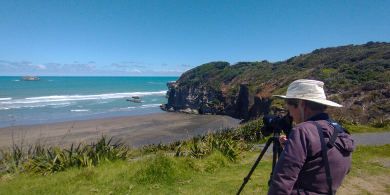 New Zealand Trip Report 2023