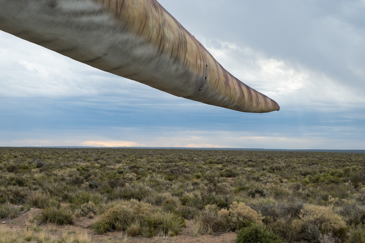 Argentinasaurus Tail