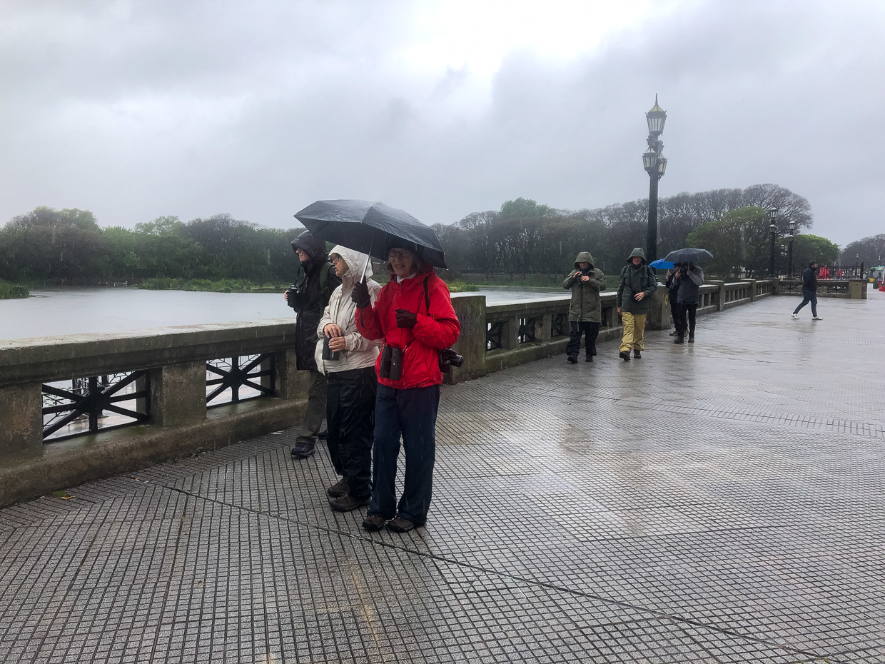 Buenos Aires rain