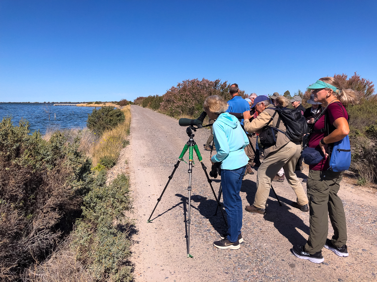 Ornithological Lagoon