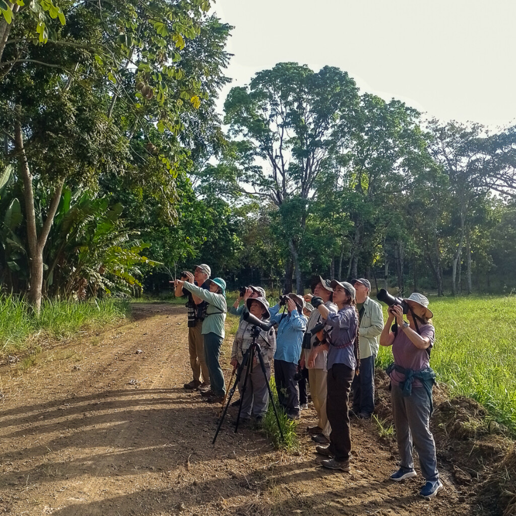 Birding Reserva San Francisco