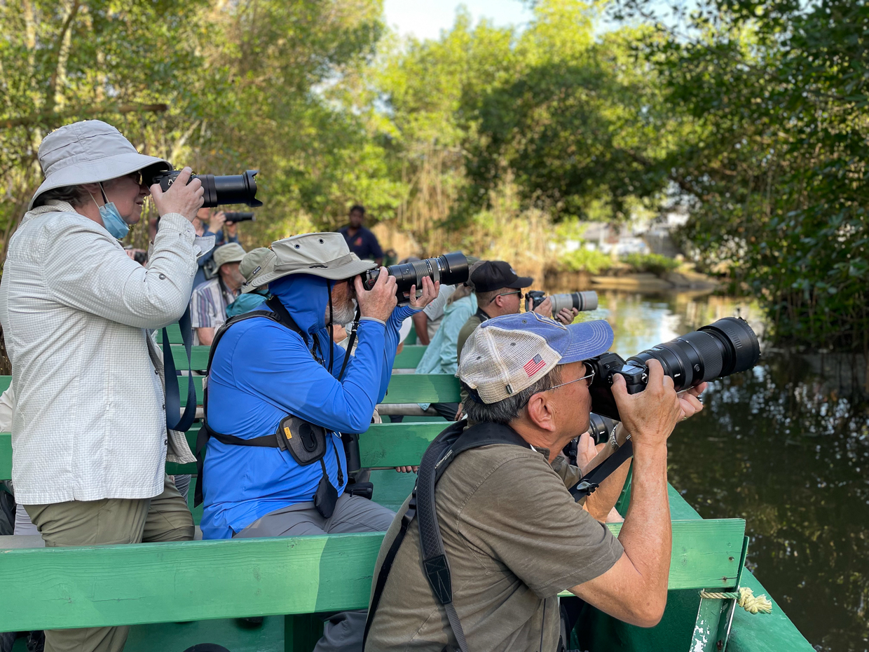 Caroni Swamp Tour
