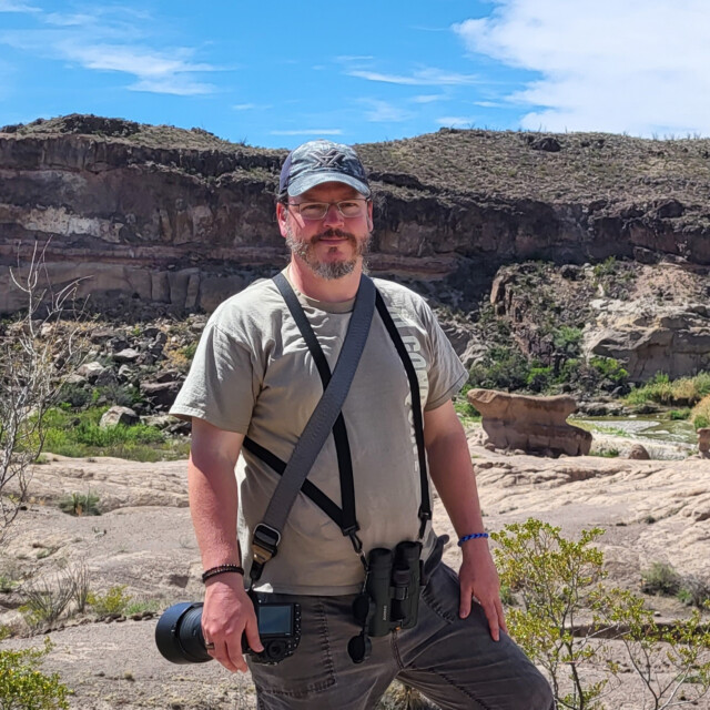 Tim Arthur - Bird Guide, Naturalist & Photographer