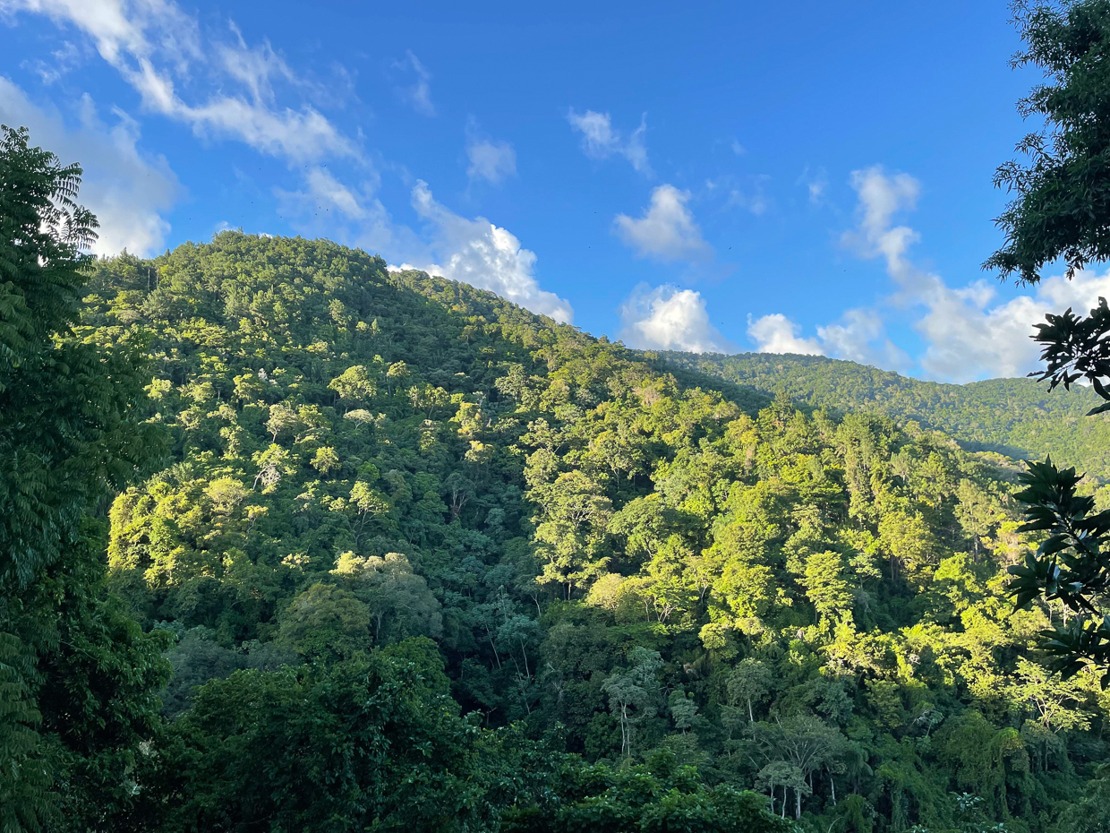 View from the Pax Veranda