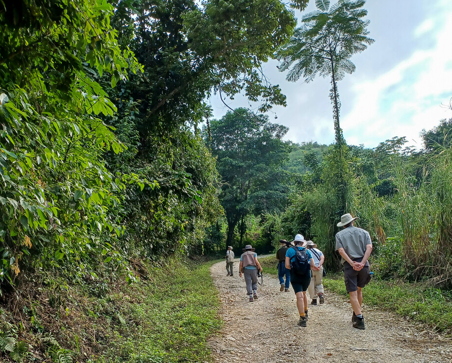 Birding in Southern Mexico