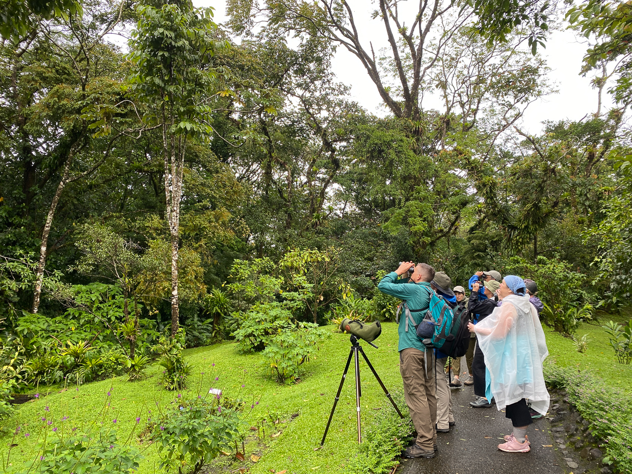 Birding at Arenal Observatory Lodge 