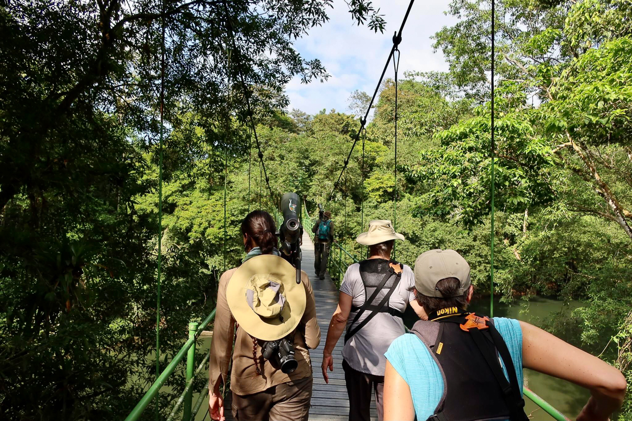 Birding in Costa Rica