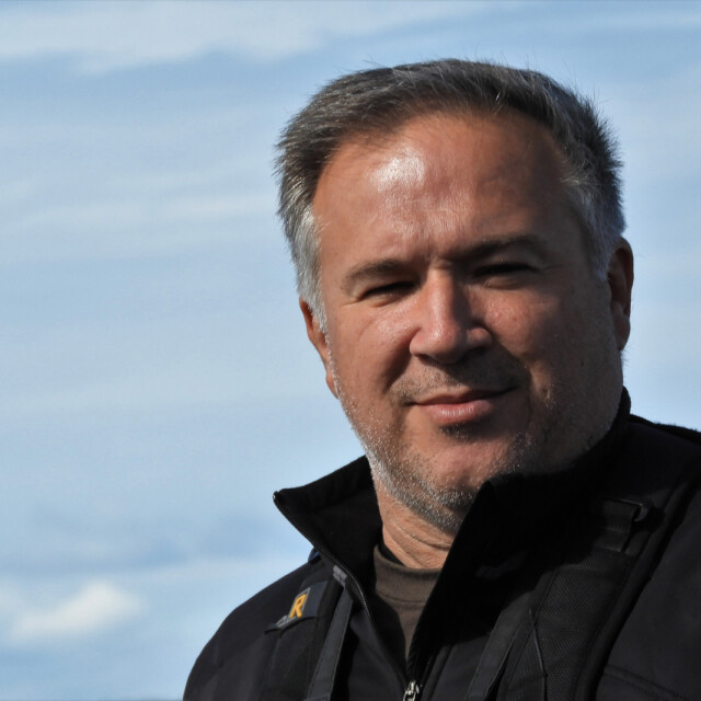 Mitch Doucet - Birding Guide & Photographer