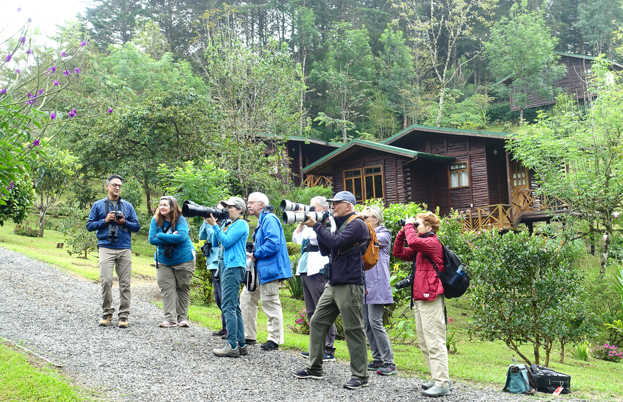 Birding in Costa Rica 