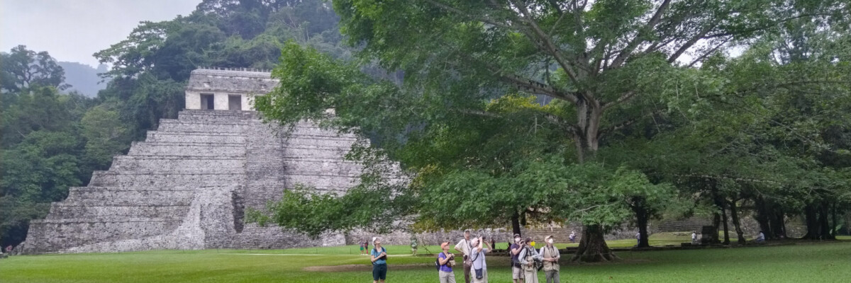 Southern Mexico 2024 Trip Report