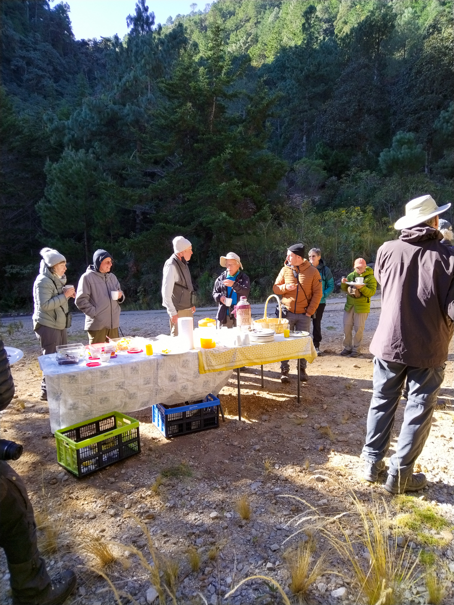 Picnic breakfast