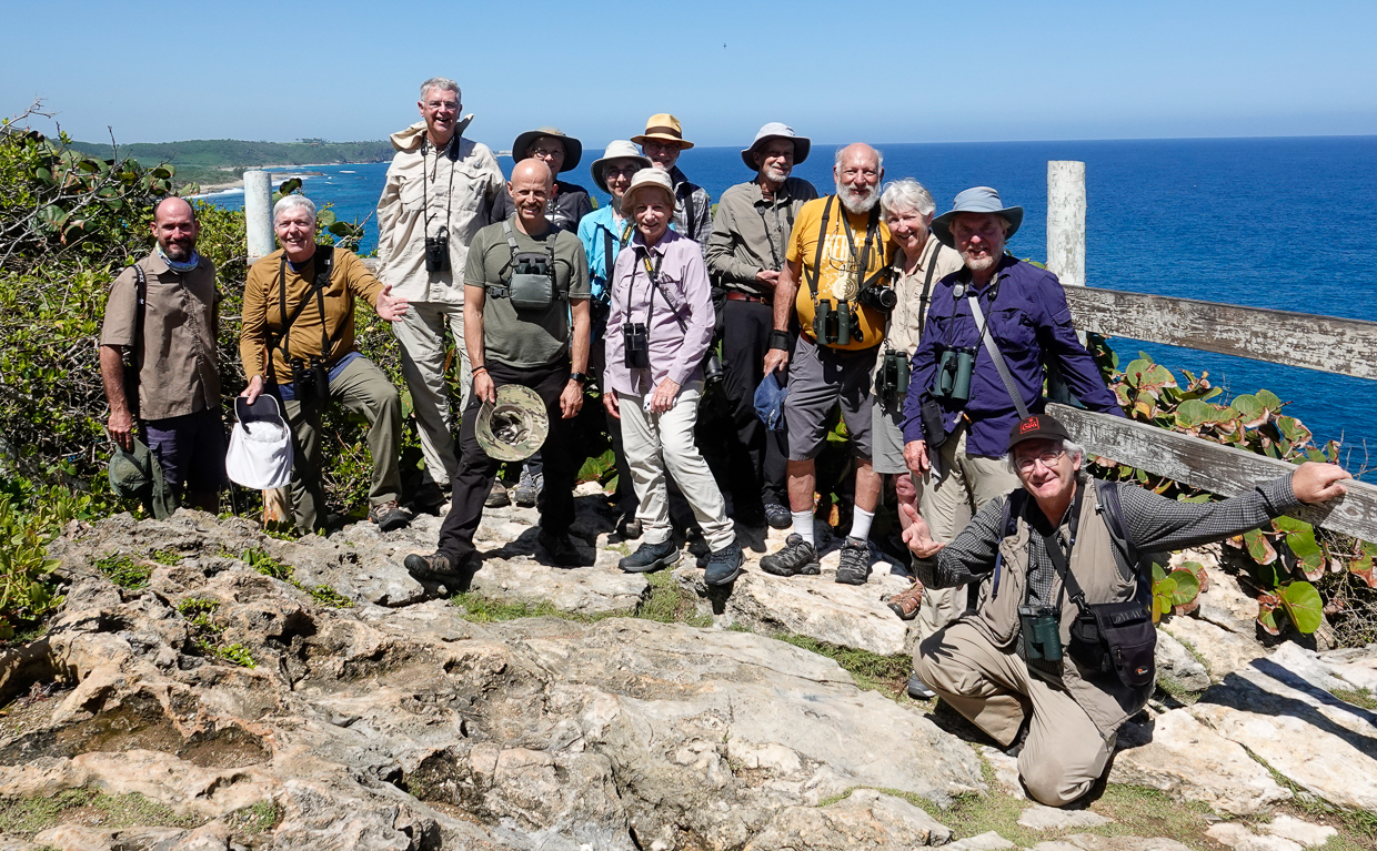 Birding group, Puerto Rico