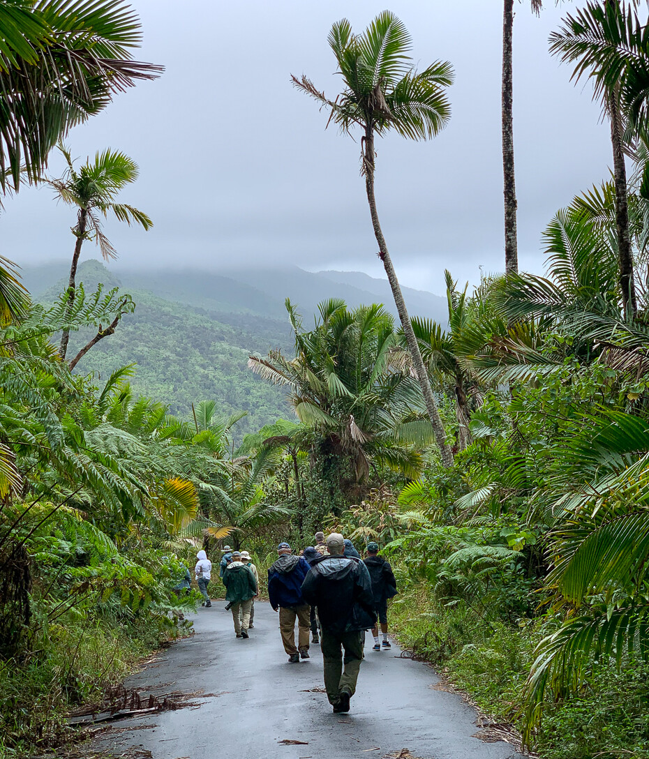 El Yunque hike