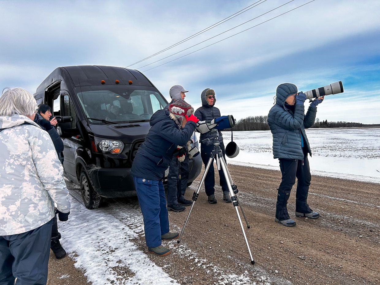 Birders in Manitoba