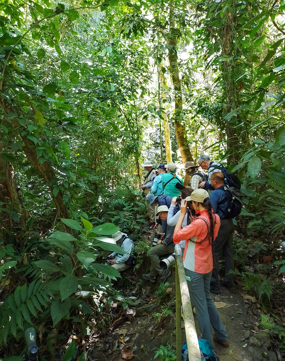 Birding in Carara National Park