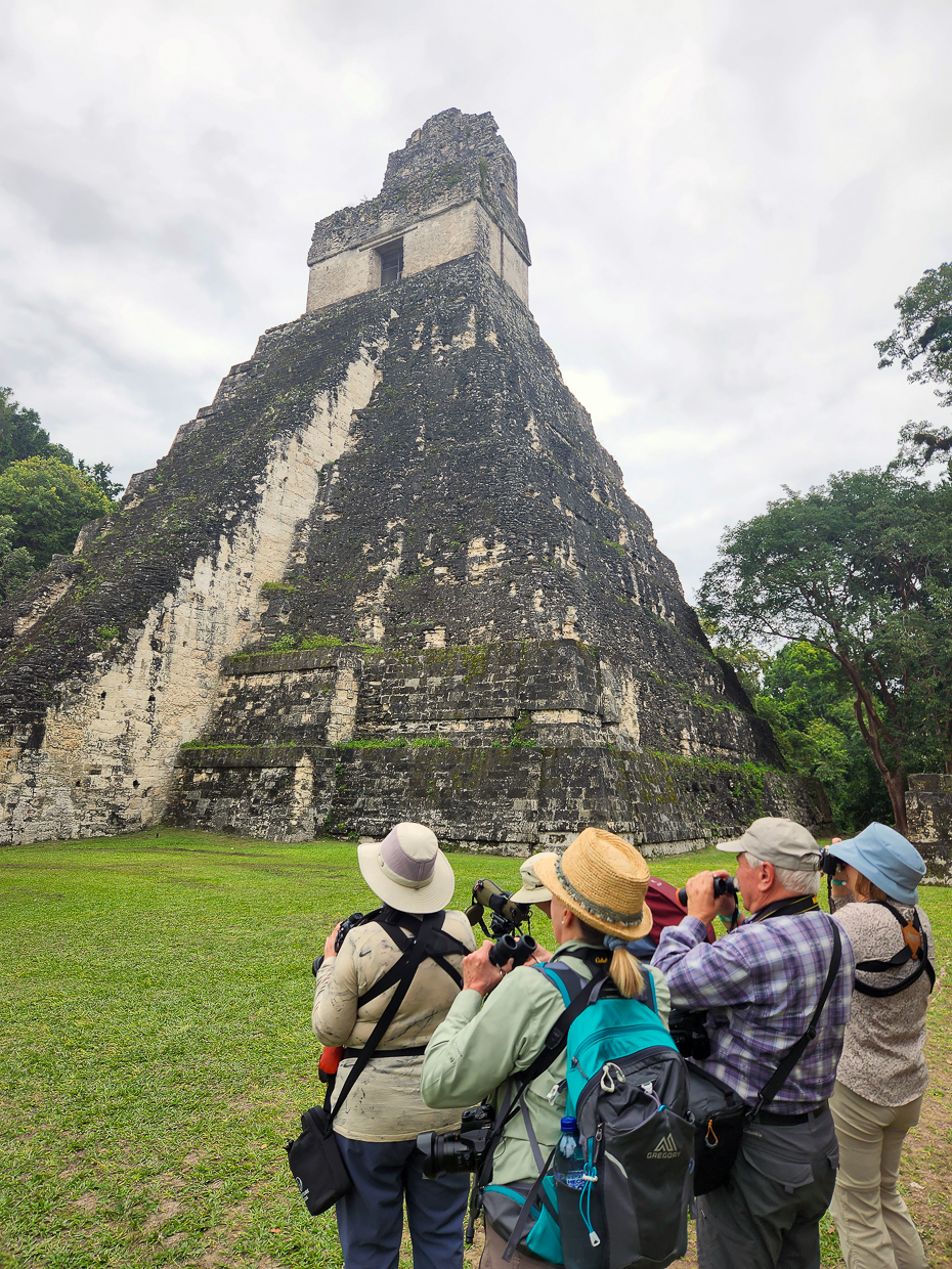 Birding in Tikal National Park