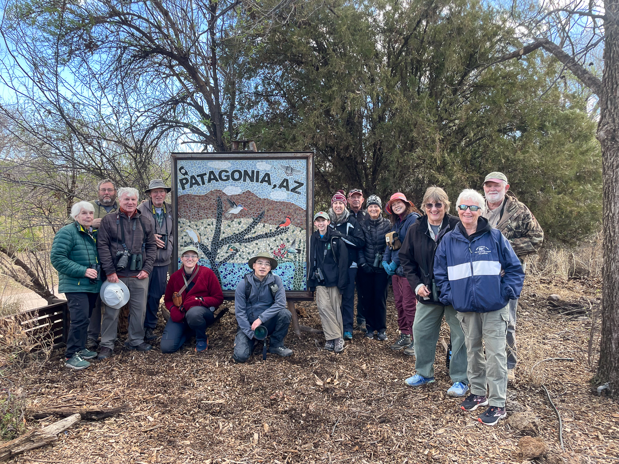 Birding group in Arizona