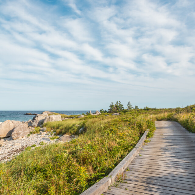Boardwalk at Keji Seaside trail (South Shore, Nova Scotia, Canada)