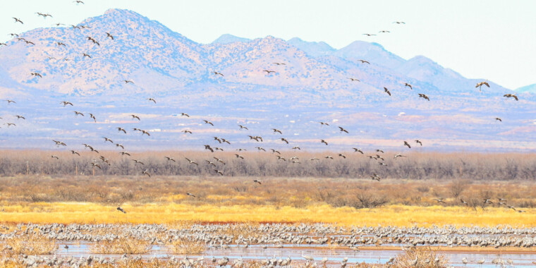 Arizona in Winter 2024 Trip Report (Jan 22-30)