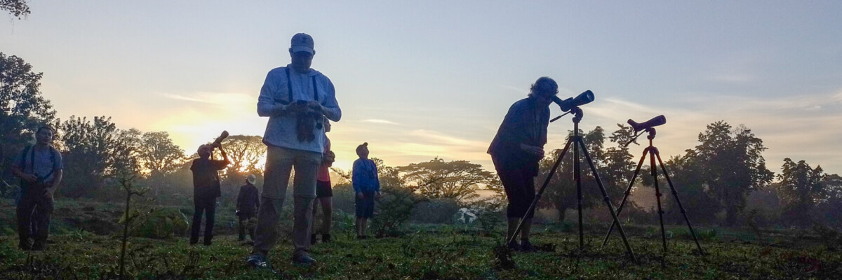 Costa Rica Sampler Trip Report (Jan 29 - Feb 8, 2024)