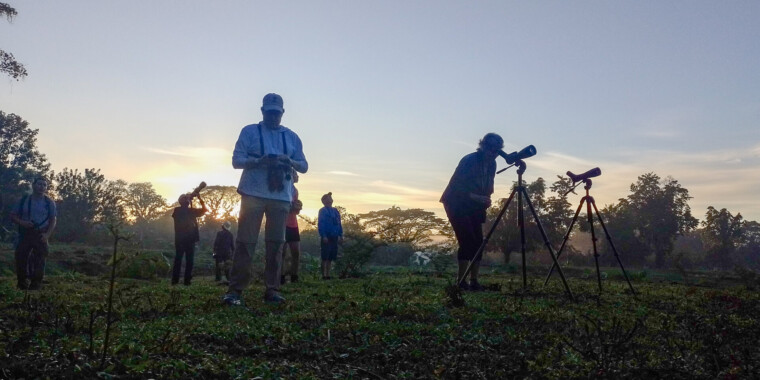 Costa Rica Sampler Trip Report (Jan 29 - Feb 8, 2024)