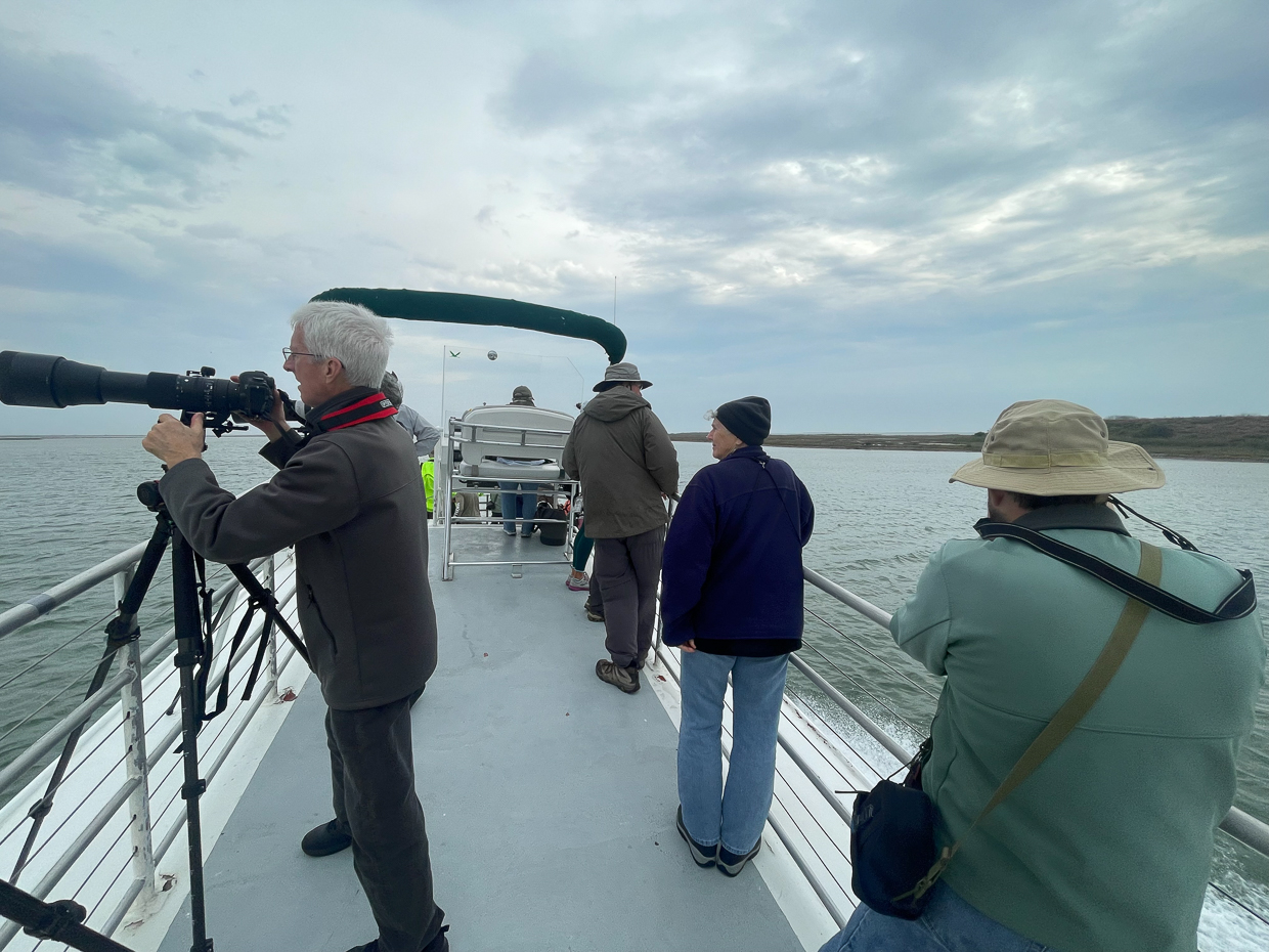 Boat tour in Aransas NWR looking for Whooping Cranes
