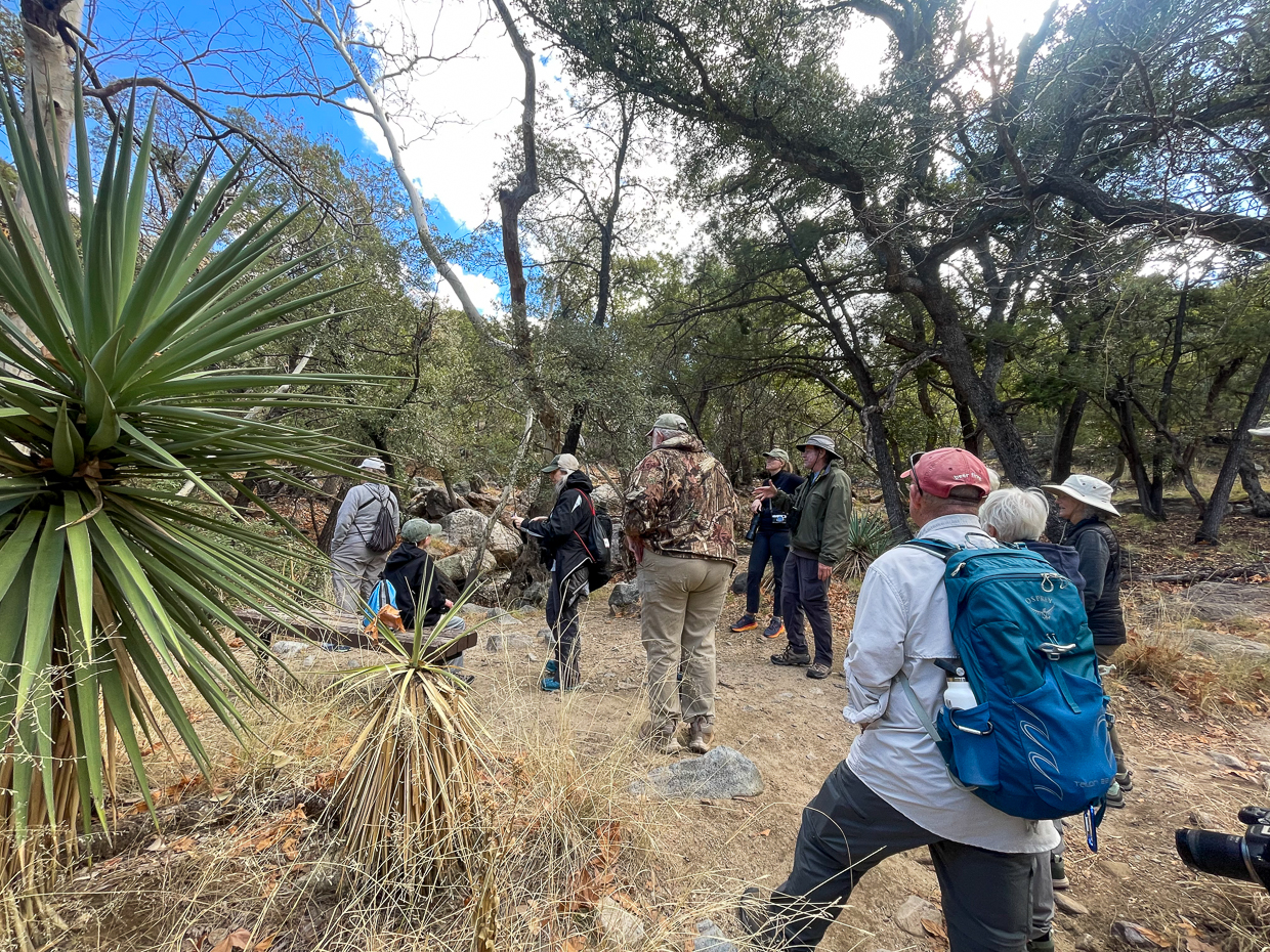 Exploring Madera Canyon area