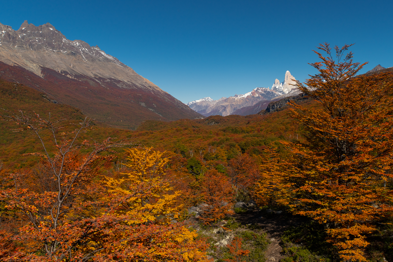 Fitzroy autumn colors