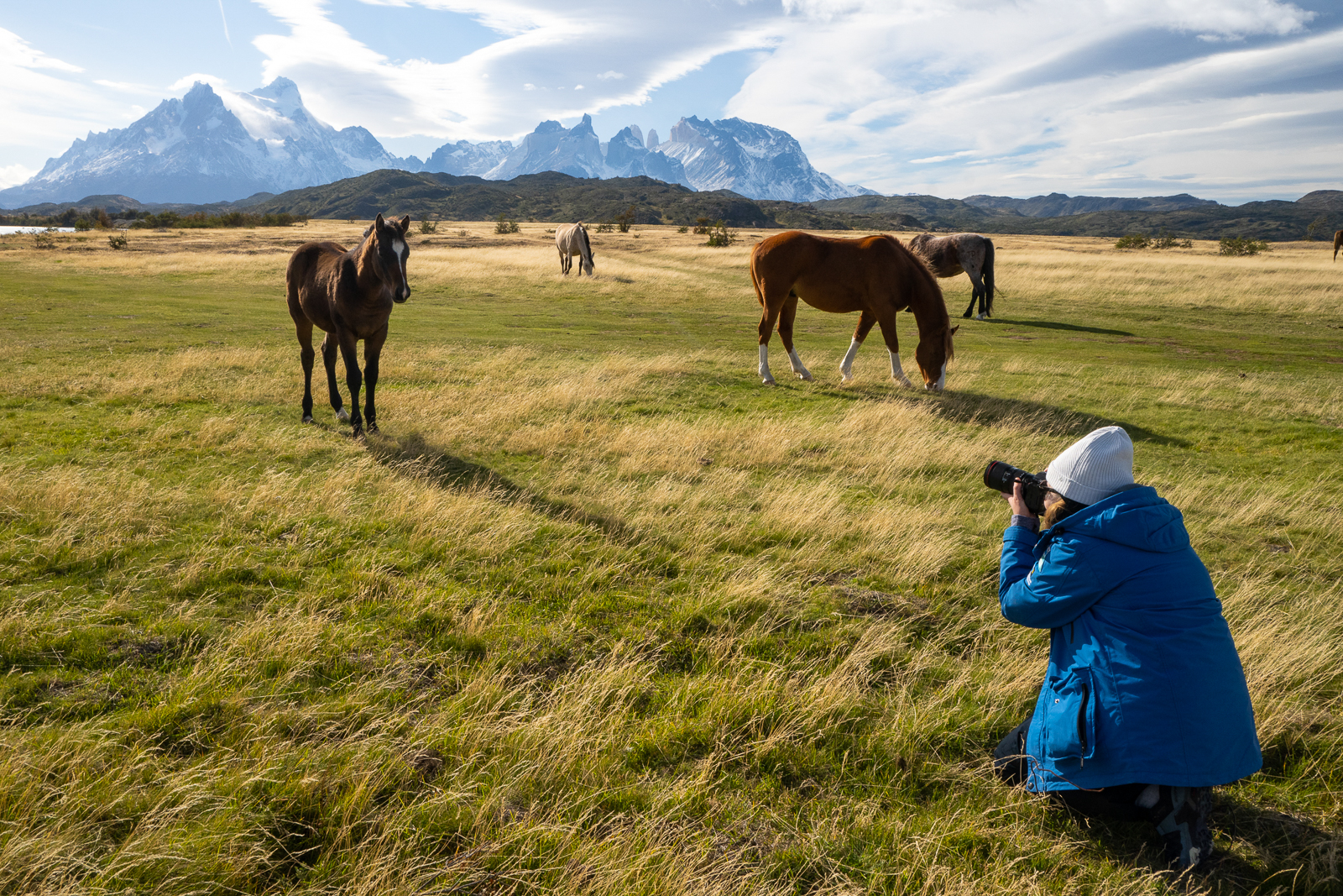 Photographing horses in Patagonia