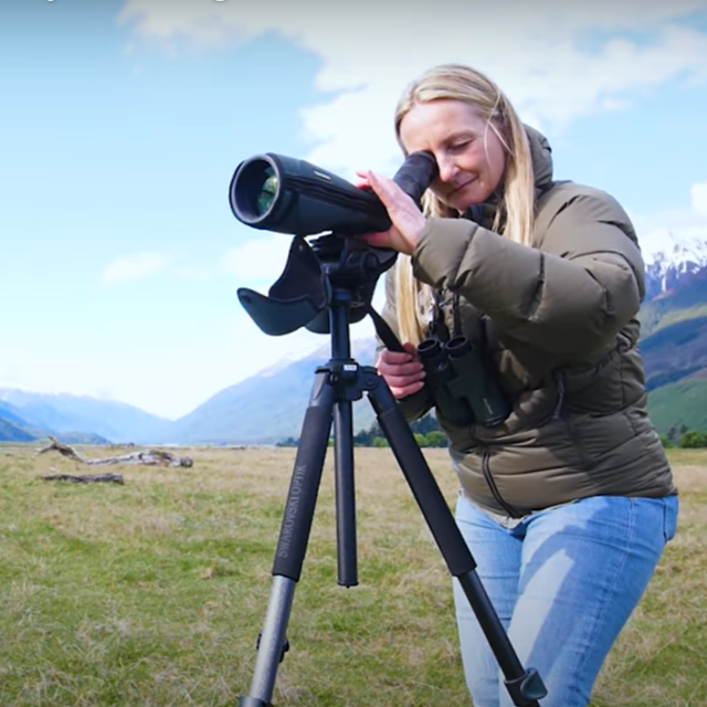 Rachel Hufton - Professional Ecologist and Ornithologist