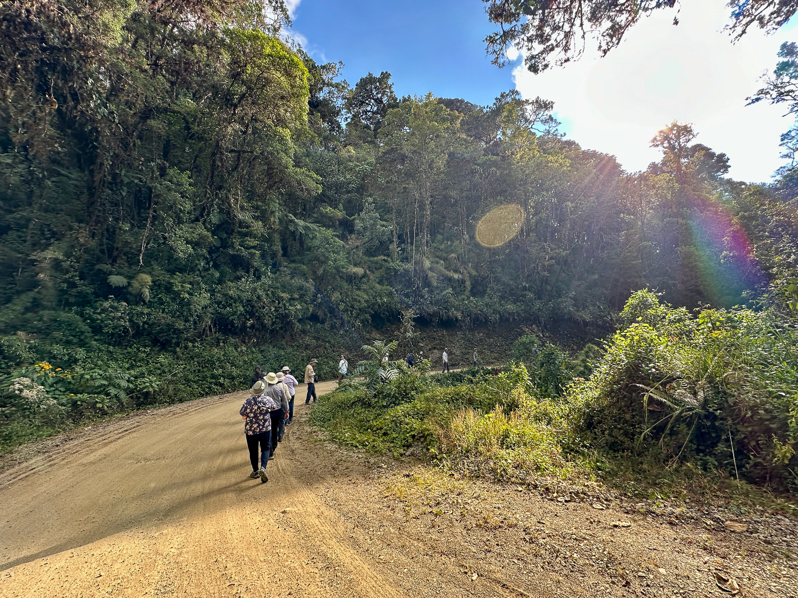 Birding in Costa Rica