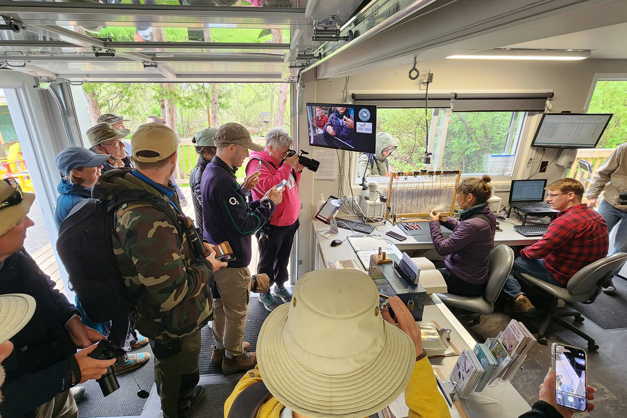 Bird banding demonstration