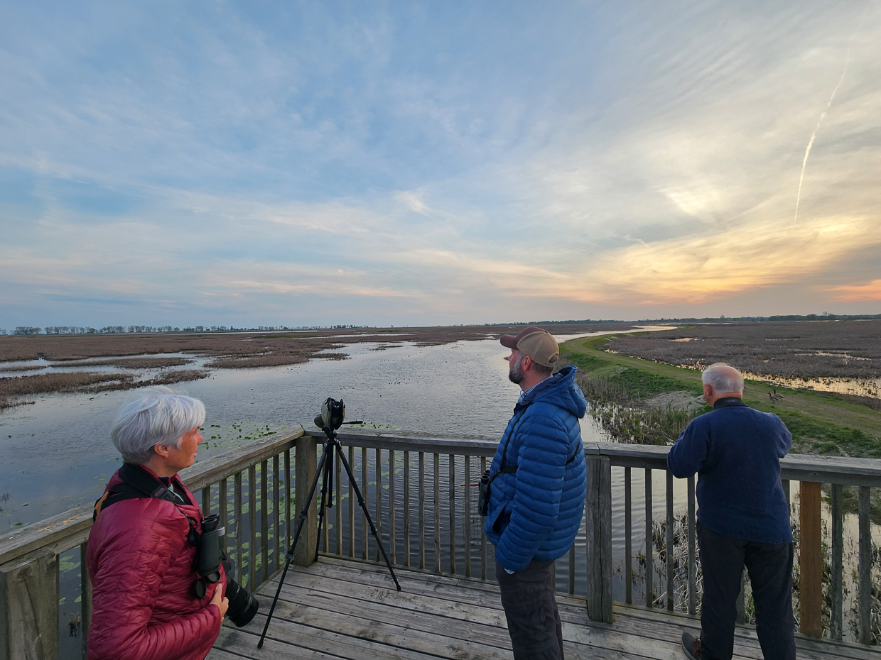 Big Creek Marsh