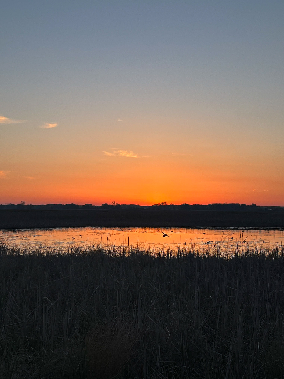 Sunset at Big Creek Marsh