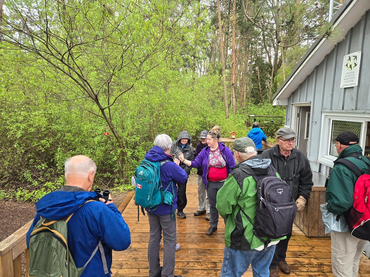 Bird banding demonstration