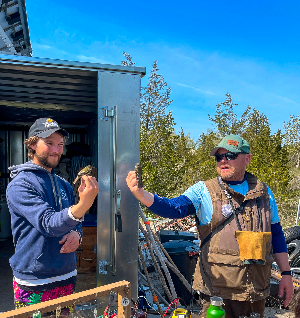 Bird banding demonstration