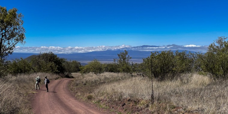 Hawaii Trip Report (March 2024)