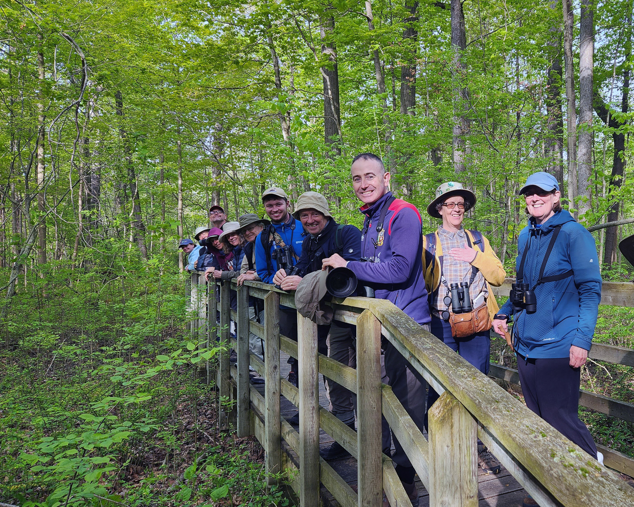Birding in Rondeau