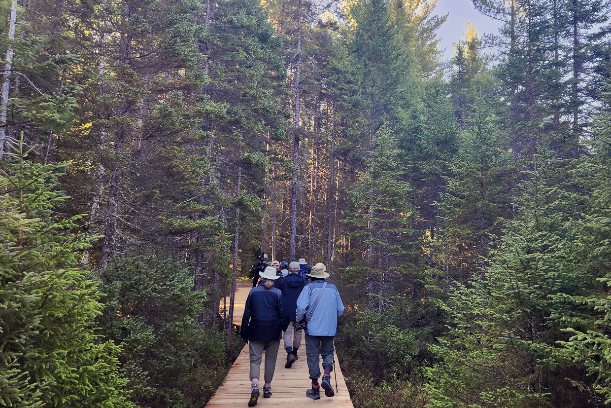 Birding at Spruce Bog