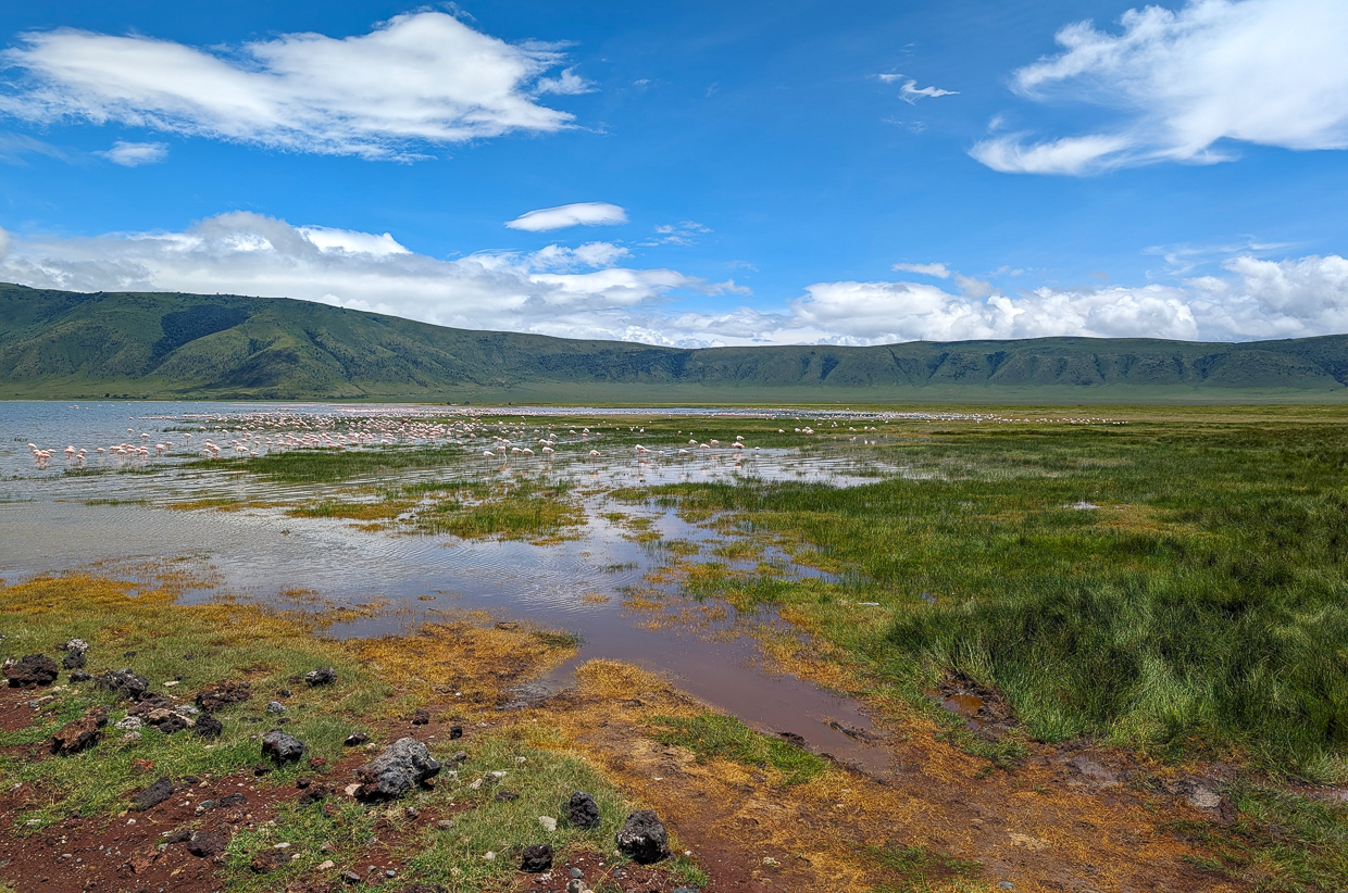 Ngorongoro Crate with Flamingos
